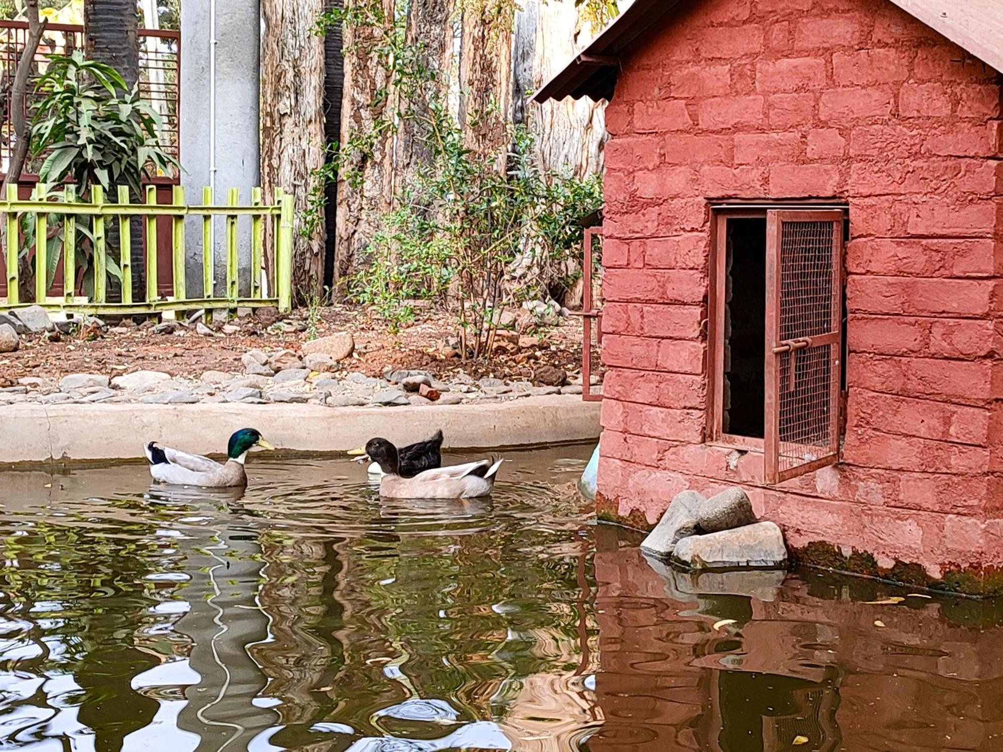 Van Vagdo Resort Rajpipla Dış mekan fotoğraf