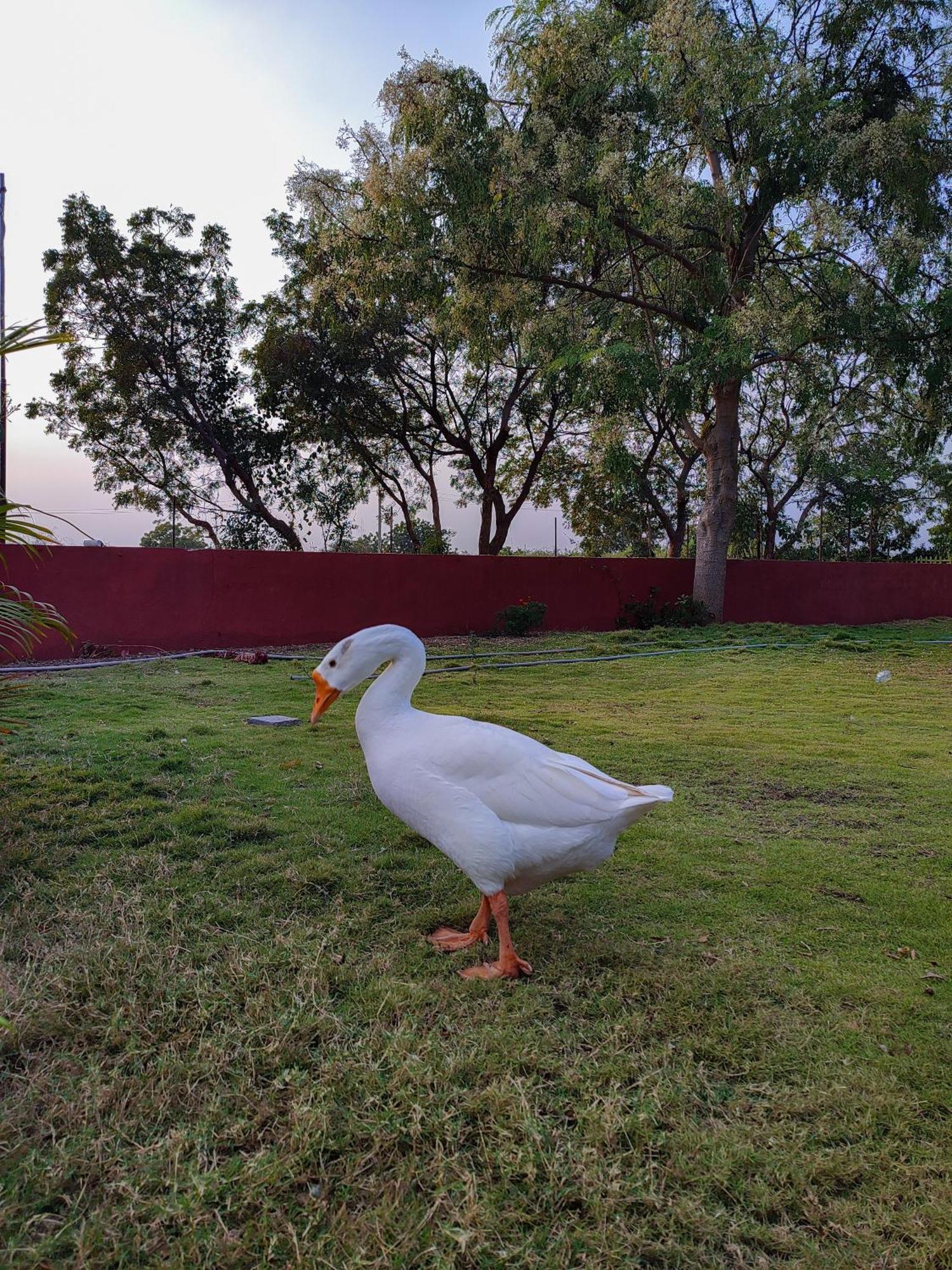Van Vagdo Resort Rajpipla Dış mekan fotoğraf